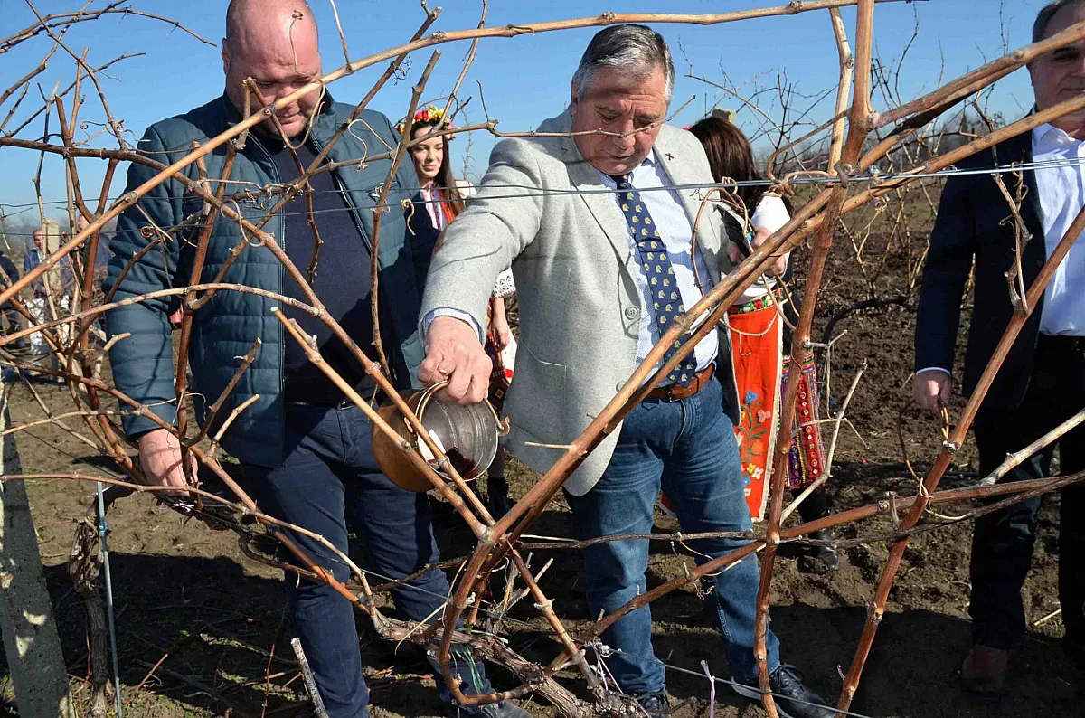 С ритуално зарязване на университетските лозя Тракийски университет отбеляза Трифон Зарезан