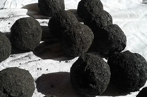 Феномен! Полудяха по черното злато у нас