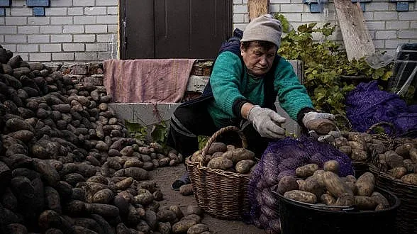 Страшна драма в Русия! Картофена криза