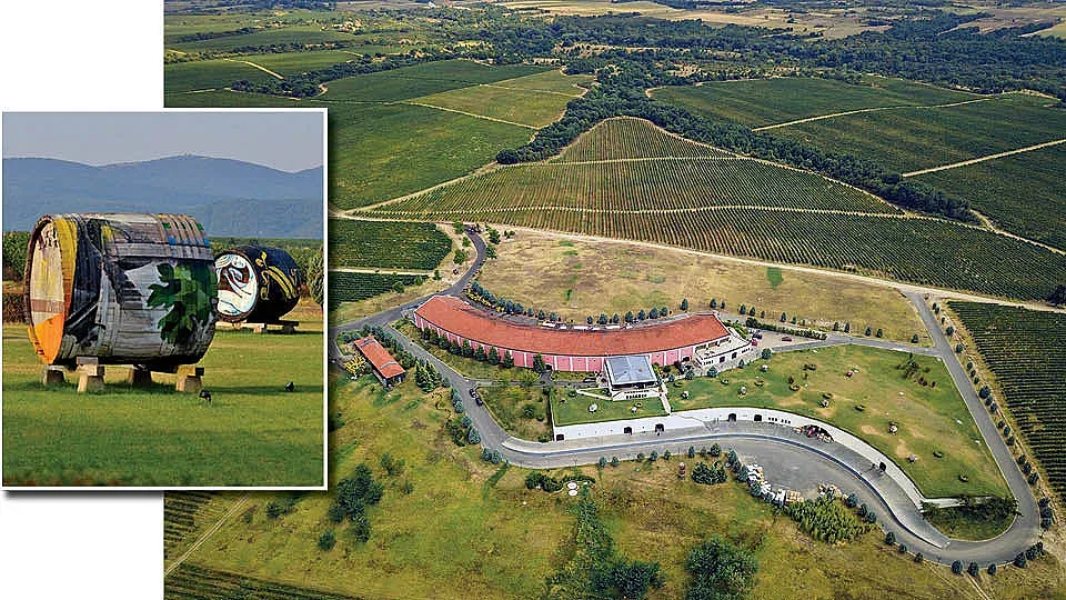 Katarzyna Estate & Hotel - Вино, История и Лукс в сърцето на Родопите