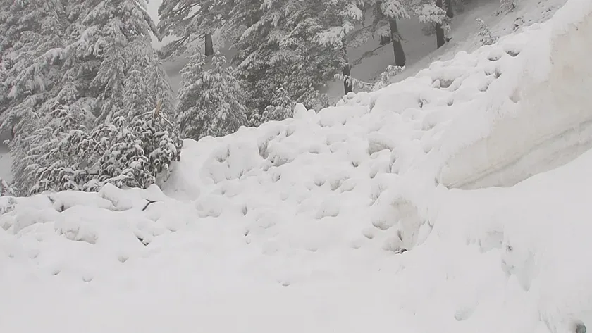 Ужас в Европа! Половин метър сняг