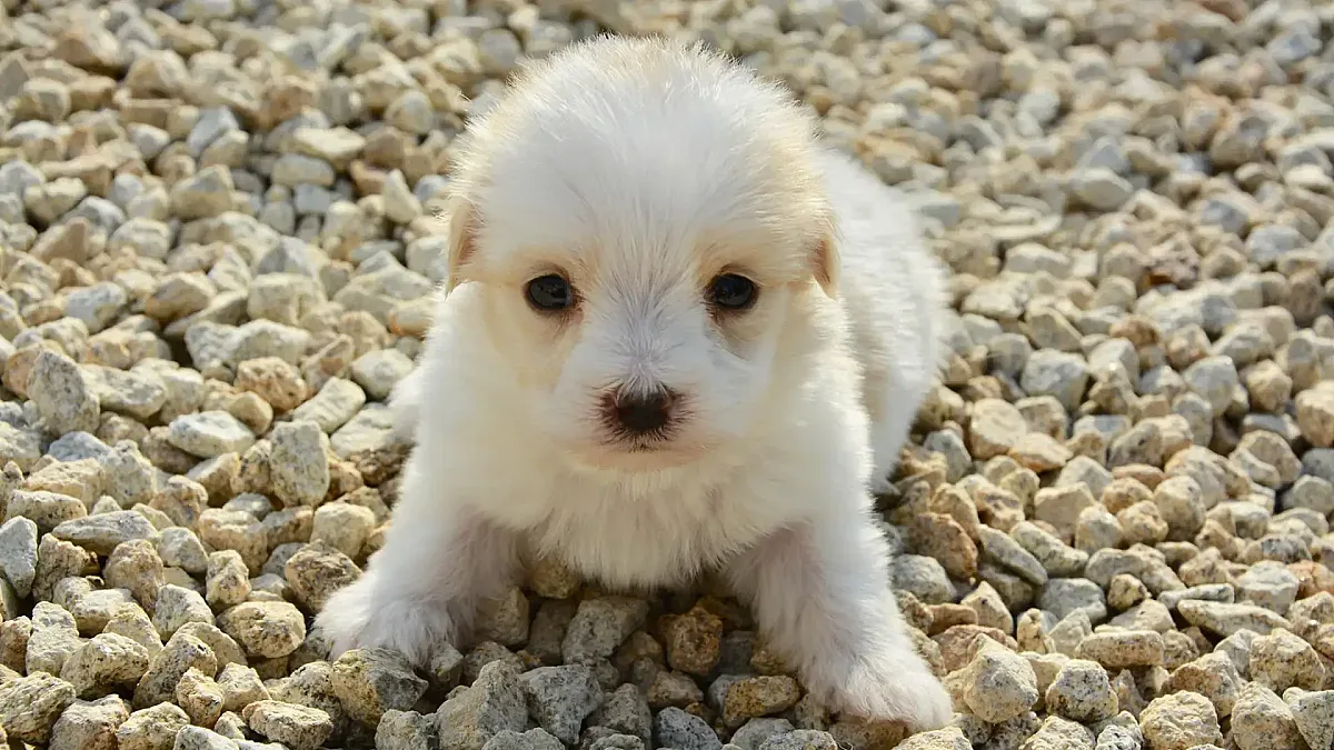 4 научнодоказани признака, че другите ви харесват