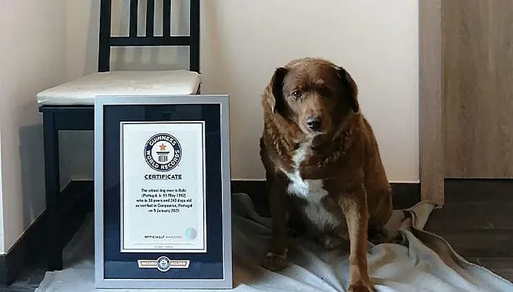 Обрат с най-старото куче на света