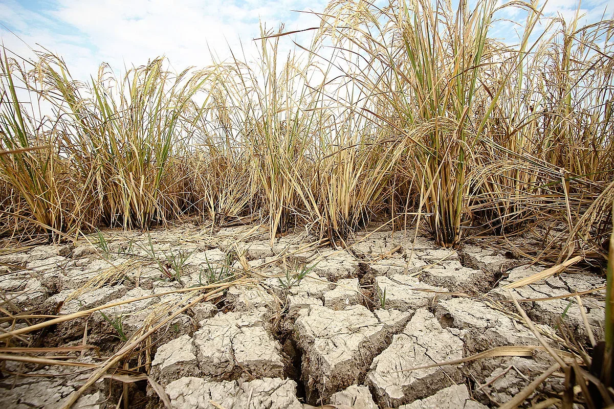 Зловеща прогноза от Давос! Умират милиони