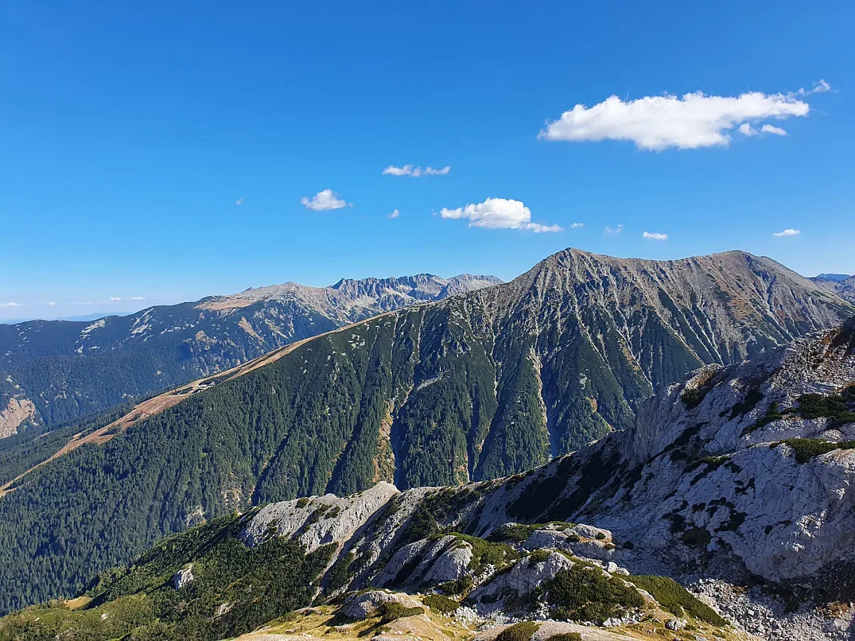 Скалите на Джамджиев пазят цветето Еделвайс