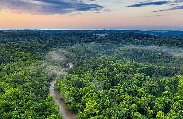 Голяма драма! Орязаха белия дроб на земята