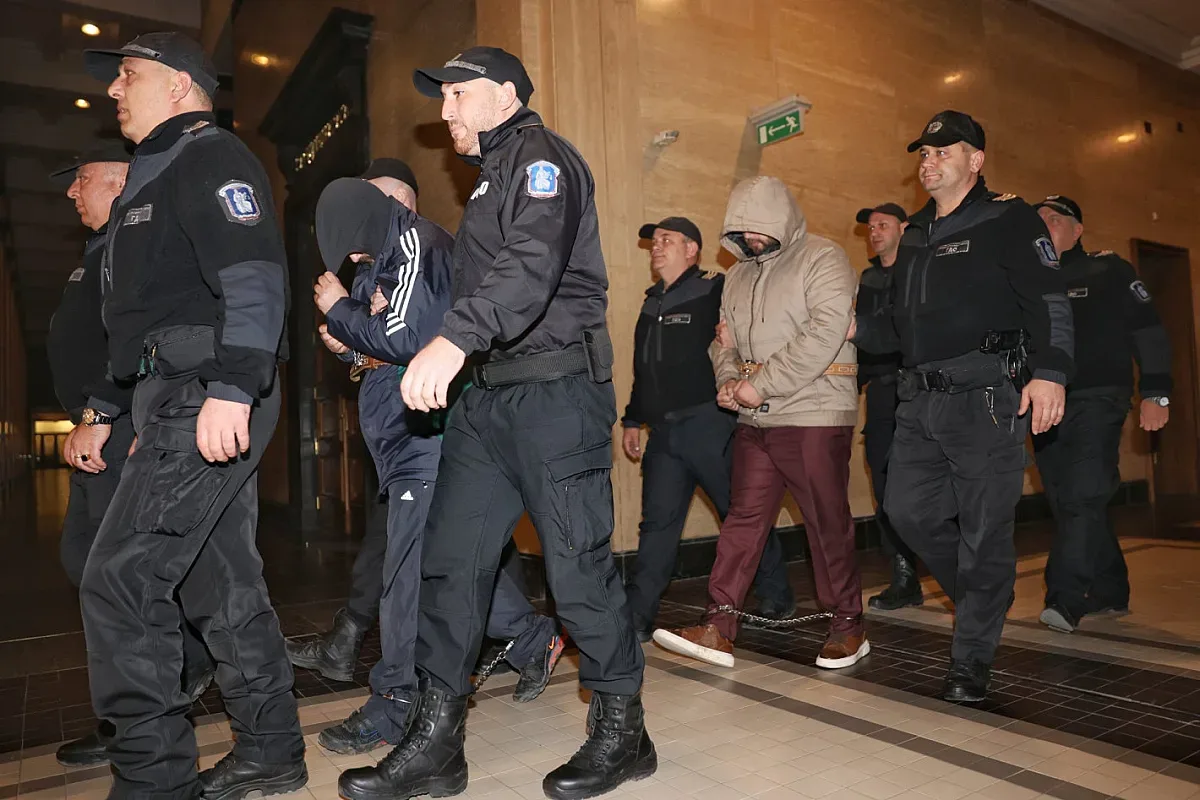 Разследват сина на Стоян Александров за още престъпления