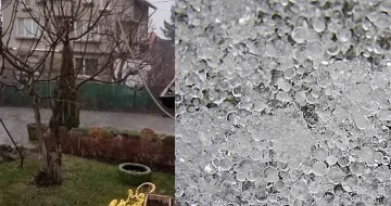 Не е за вярване. Рядко явление изуми софиянци!