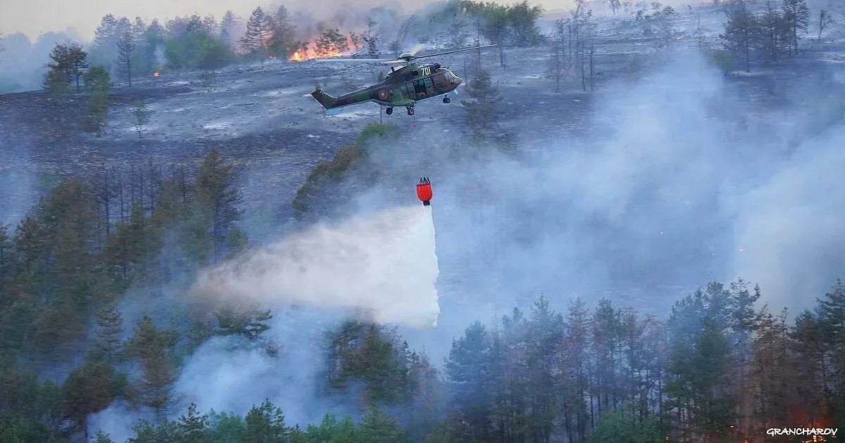 Още гасят най-голямото огнище на пожара в Пирин