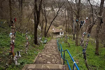 Вълшебното място на България. Хиляди идват за чудото
