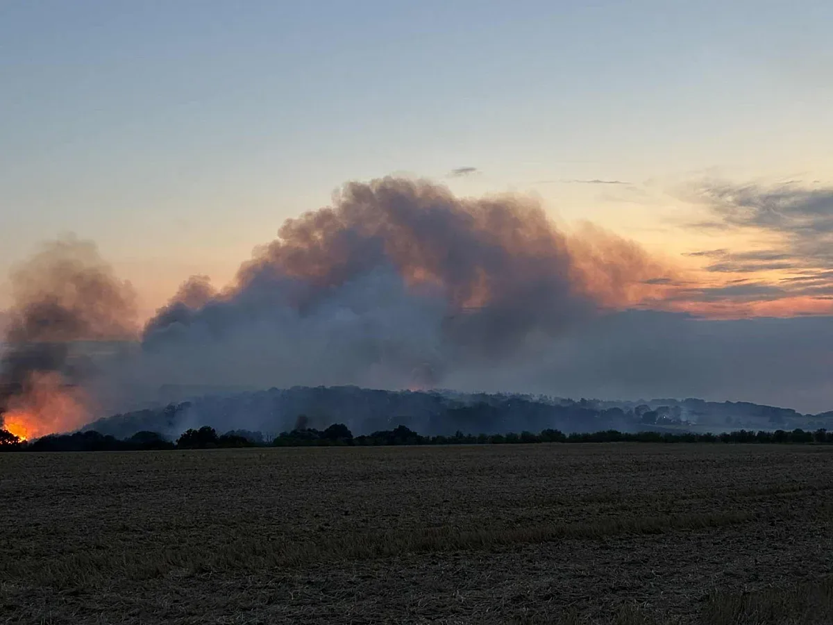 Лумна пожар на изхода на София. Има ли опасност