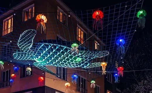 Бонев брани светещите медузи, София се забавлява