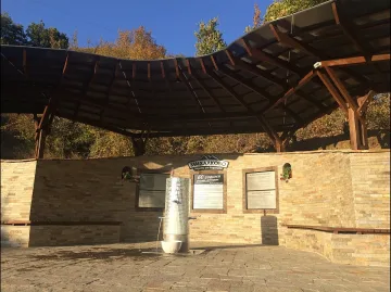 От съкровищата на Родопите-извор с естествено газирана минерална вода