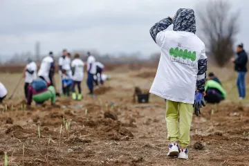 Нестле България възстановява 30 декара опожарени гори в Стамболово