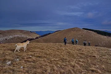 Уникален феномен скрит в Понор планина