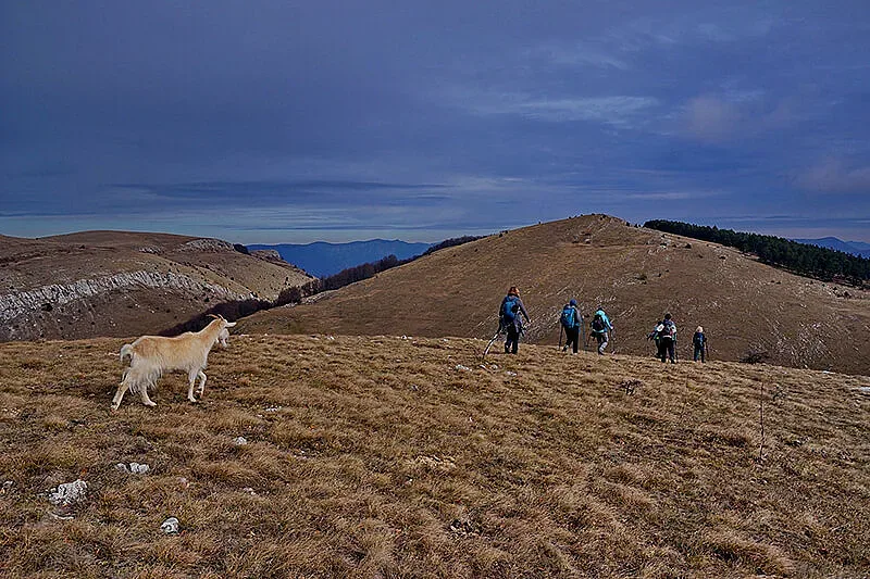 Уникален феномен скрит в Понор планина