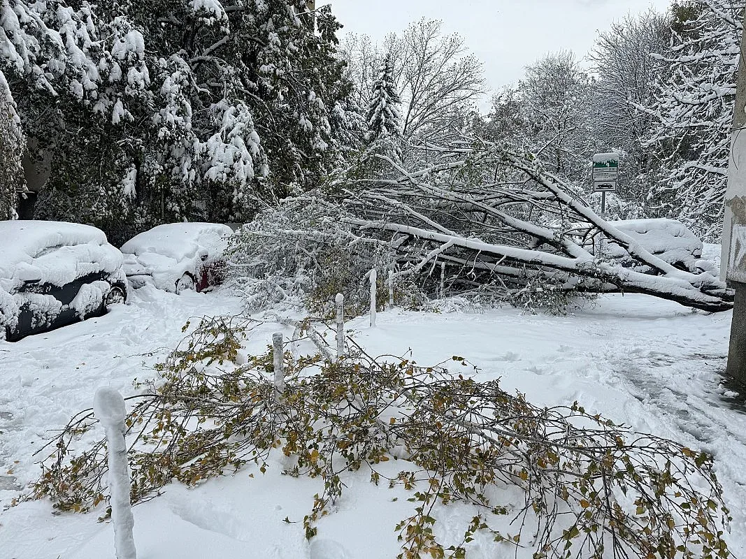 Солени глоби за непочистения сняг в София, проговори инспектор