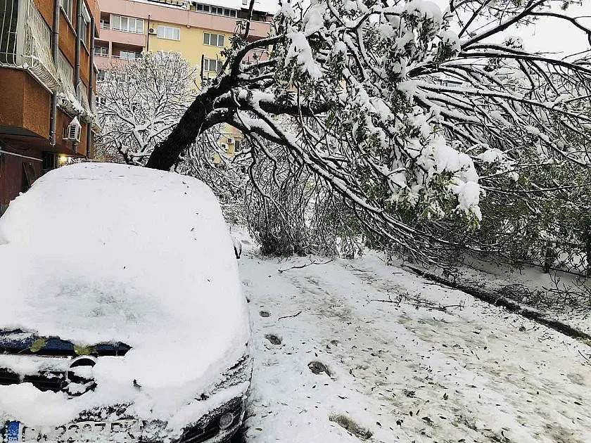 Снежният кошмар! Стотици хиляди без ток