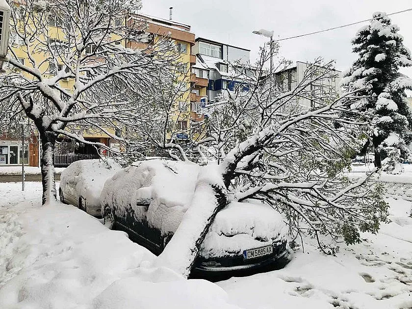 Над половин метър сняг, хиляди паднали клони (СНИМКИ)