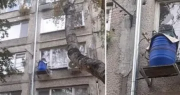 Уникален БГ цирк! Къде сложиха зелето