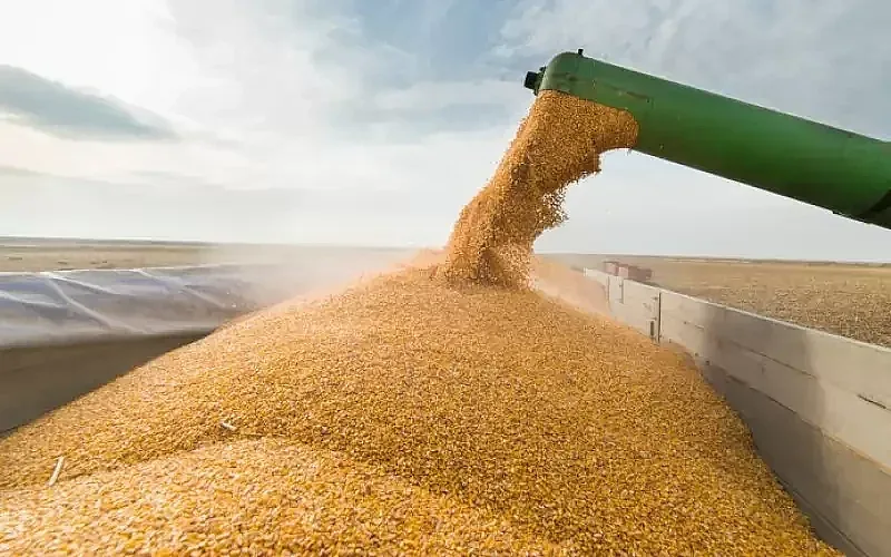 Големите планове на Русия: Колко зърно ще произведе и изнесе догодина