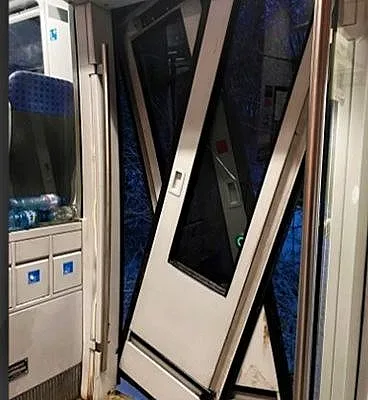 Не е за вярване! Дърво изкърти вратите на влак