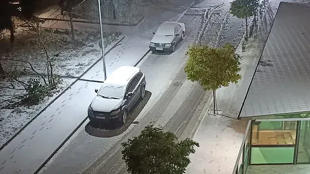 И в Добрич стана страшно. Падат дървета