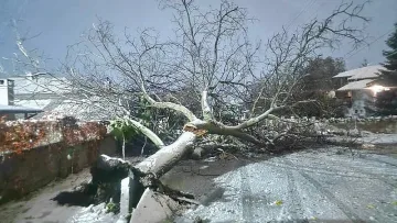 Ад във Варна. Обявиха бедствие