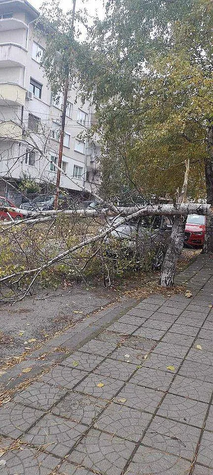 Бурята вилнее! Опашката на Фредерик ни помита