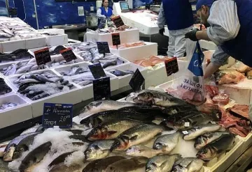 Като няма паламуд, ето коя е най-търсената риба