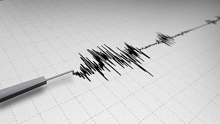 Земята се разлюля при комшиите