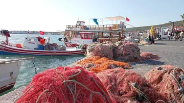 Защитена територия. Тайнственият остров Джунда (снимки)