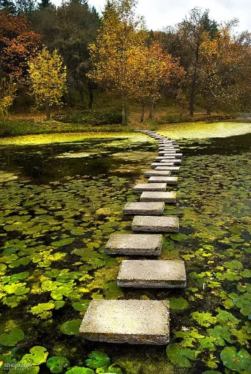 Защо лесопарк „Липник” е наричан Текето