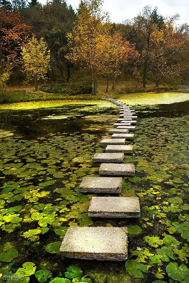 Защо лесопарк „Липник” е наричан Текето