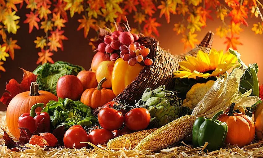 Вижте кои са трите най-полезни есенни храни