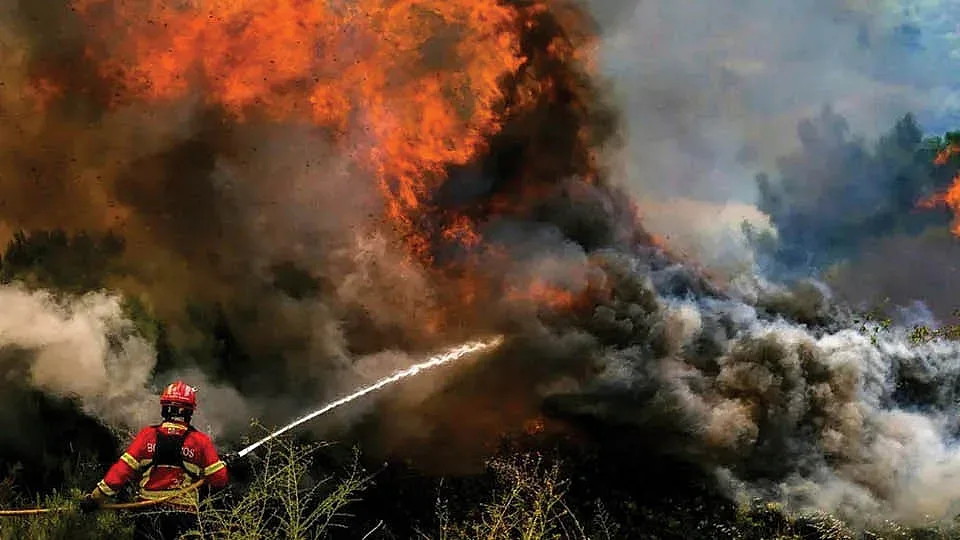 Изчадия ли сме или нечии интереси палят пожарите?