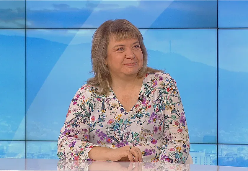 Отлагане на изборите? Експерт коментира дали бе възможно