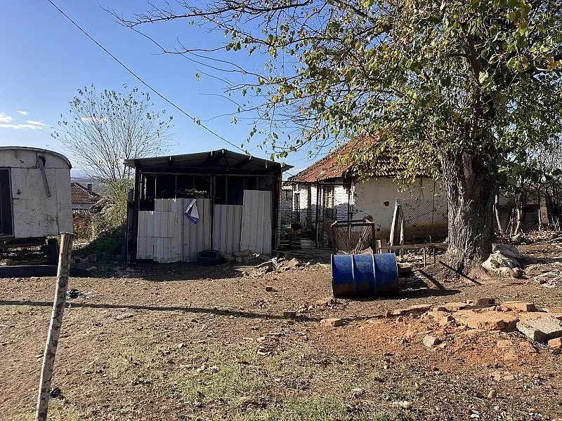 Изборен цирк. Пристигат с Мерцедес, ама живеят в барака