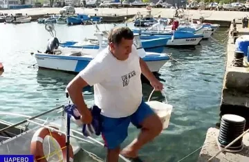 Драма за рибарите в изборния ден: Къде отиде паламудът?