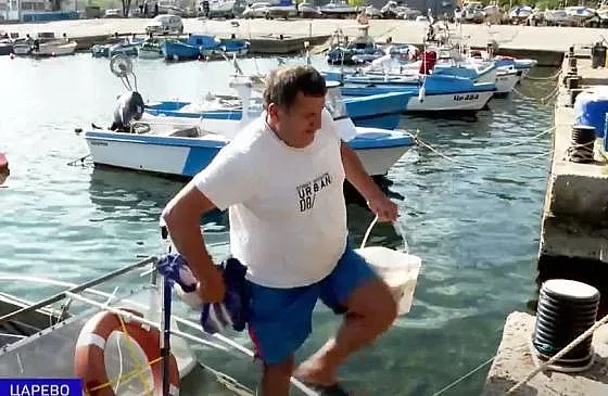 Драма за рибарите в изборния ден: Къде отиде паламудът?