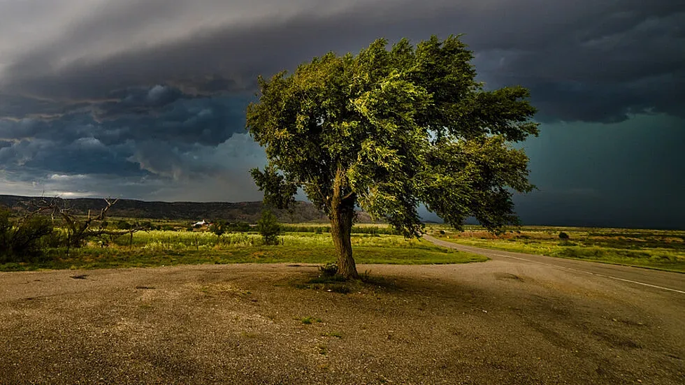 Нова изненада от времето. Опасен вятър