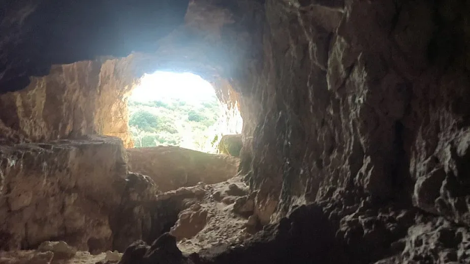 Иманяри разкриха голяма находка. Историята се променя