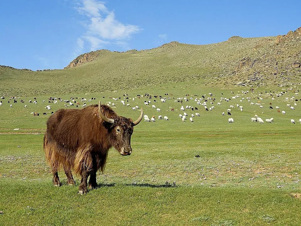 Слънчева и топла събота, стана ясно кога идва студът