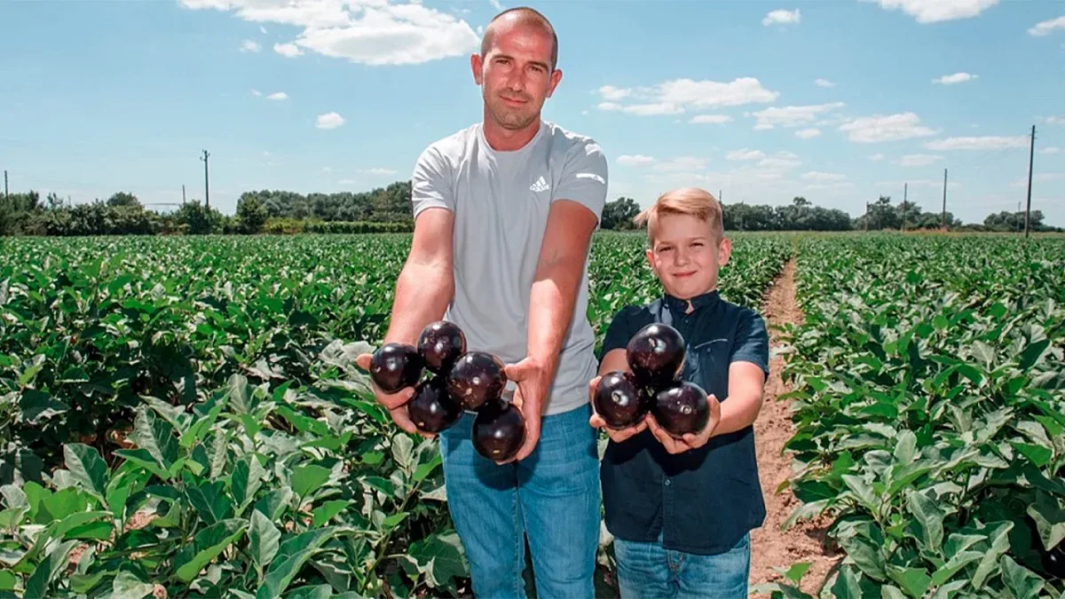 Къде растат патладжаните, които впечатлиха родни волейболни звезди