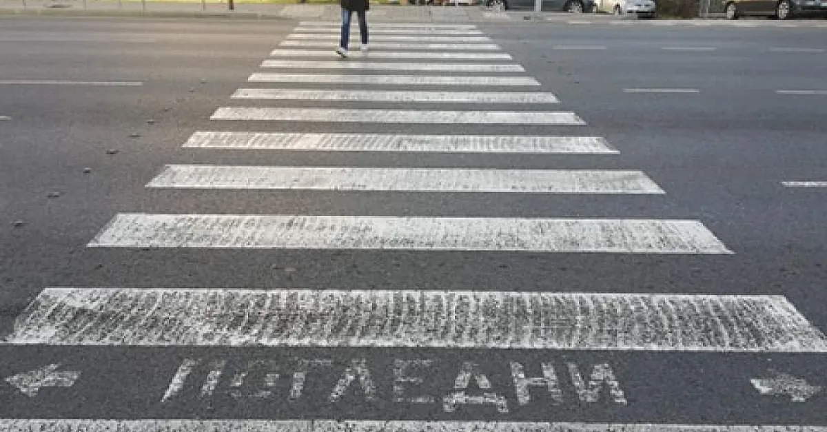 Трагедия на зебра. Жена прегази възрастен мъж