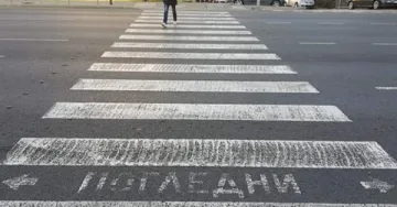 Трагедия на зебра. Жена прегази възрастен мъж