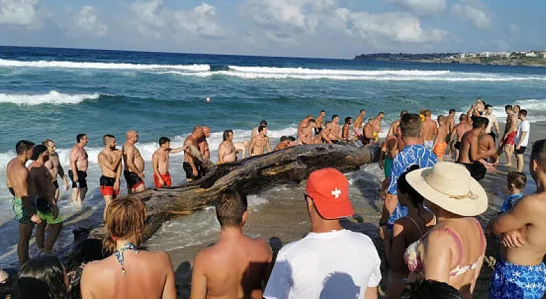 Морето изхвърли нещо грандиозно. Созопол онемя