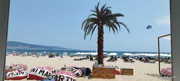 Става чудо на нашето море! Експерт го разкри