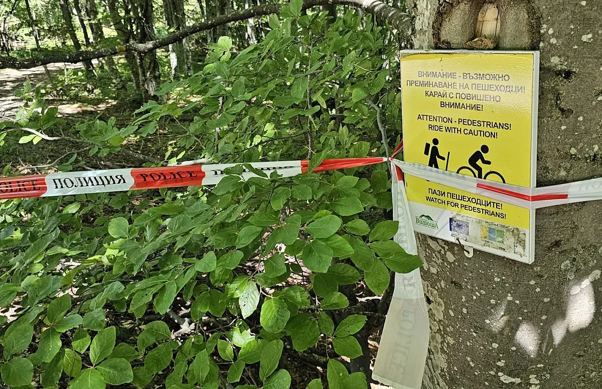 Близките на Алексей Петров са в шок! Първи думи на майката