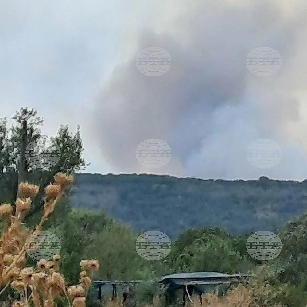 Голям пожар е избухнал в Сакар планина